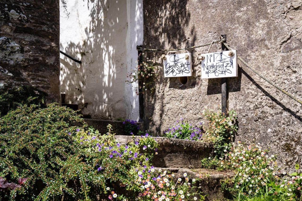 Gulls Rest - Charming Cottage In The Heart Of Historic Dartmouth Dış mekan fotoğraf